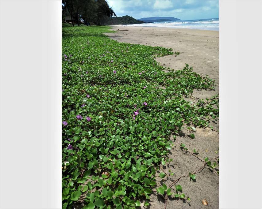 Cockerel Homestay - Traditional Beach Village - Goa Canacona Bagian luar foto