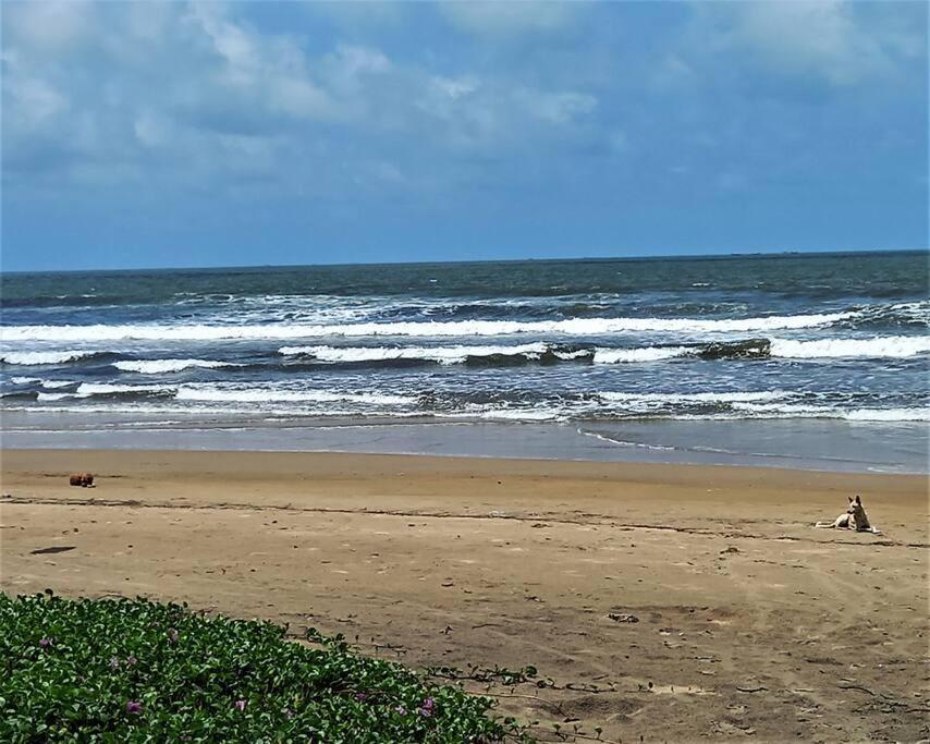 Cockerel Homestay - Traditional Beach Village - Goa Canacona Bagian luar foto