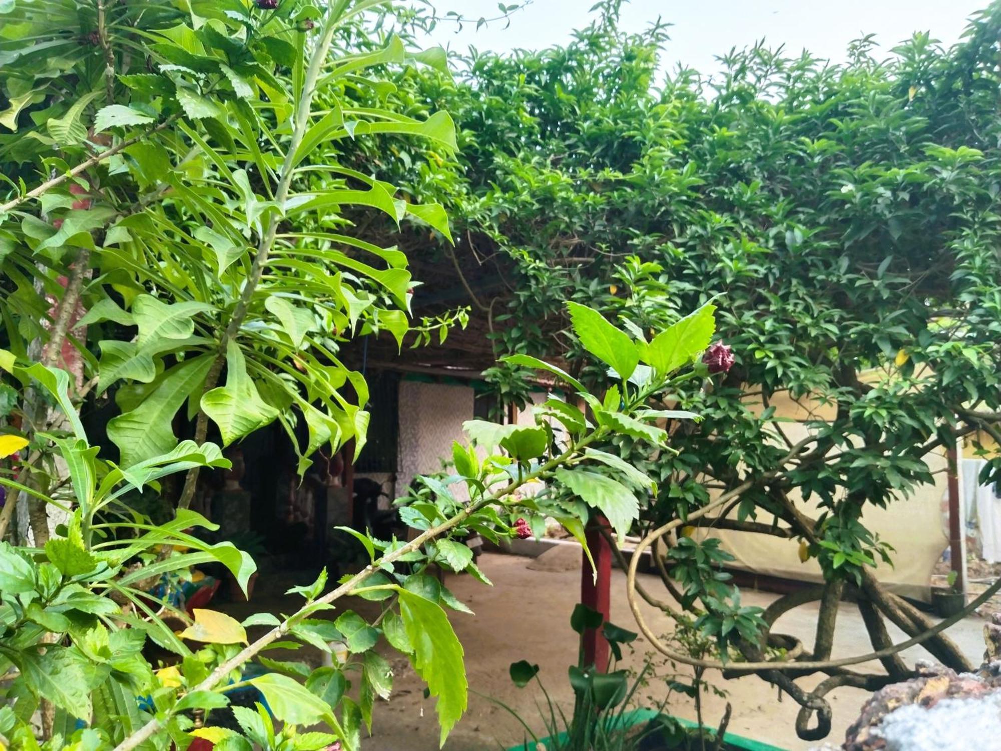 Cockerel Homestay - Traditional Beach Village - Goa Canacona Bagian luar foto